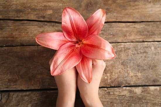 canva beautiful lily on wooden background MAD