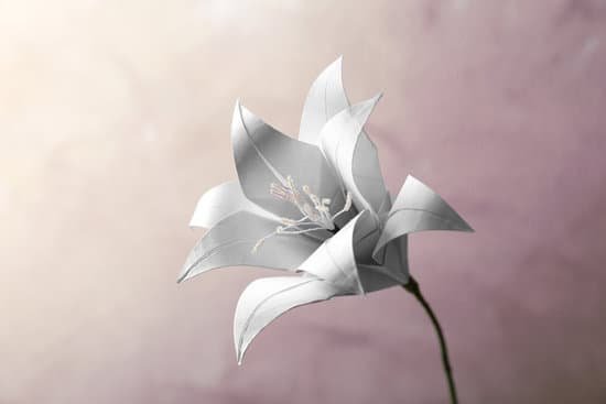 canva beautiful paper lily on light background MAD9ad463tY