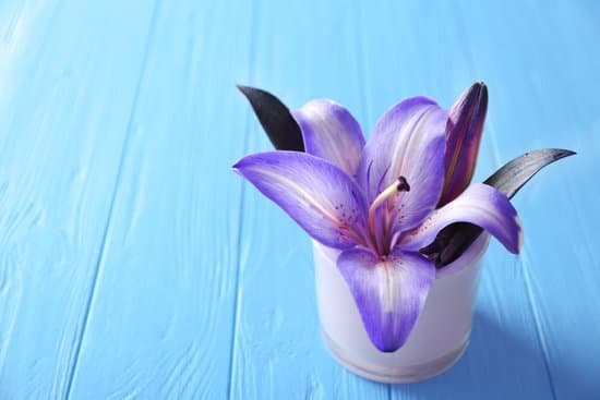 canva beautiful purple lily in vase on blue wooden table MAD Q6SakLo