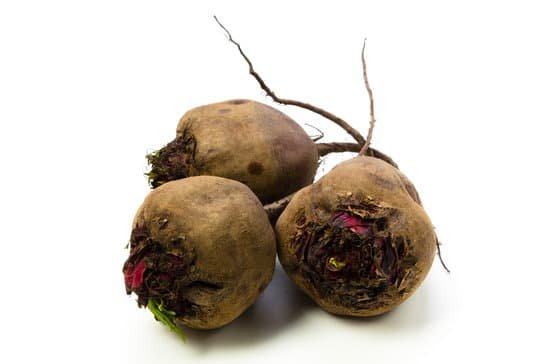 canva beet MADAsZoJYTo
