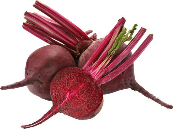 canva beet