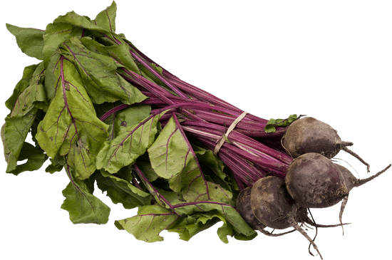 canva beet MAEZeeAT bo