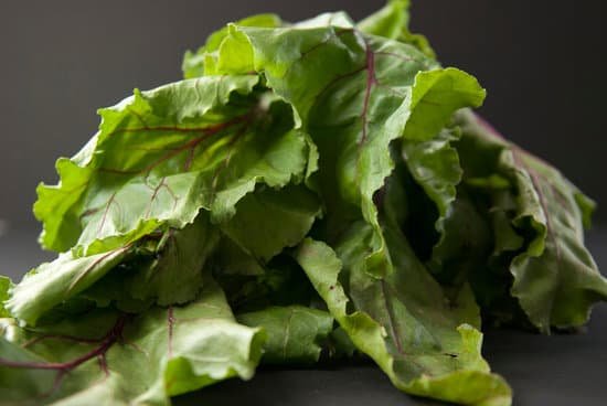 canva beet greens MADBnHhmrBU