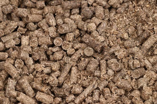 canva beet pulp MAC9LJ06ftQ