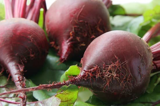 canva beet. MAEJisIuEDY