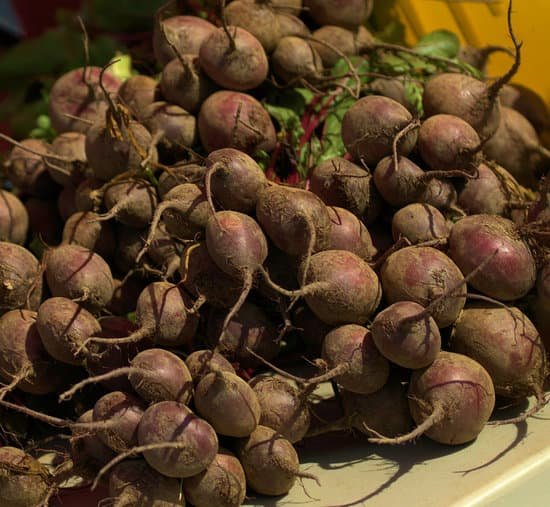 canva beets