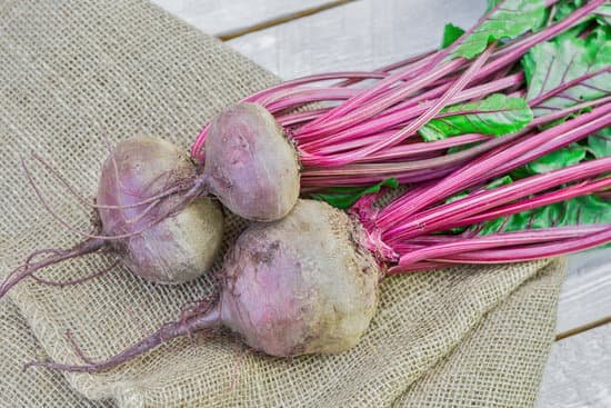 canva beets MAD2I7DUOIY