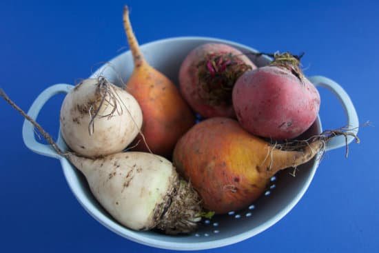 canva beets MADBDbMAhqg