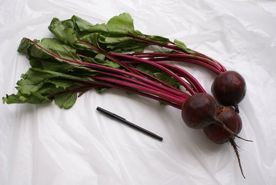 canva beets MADFocXTg68