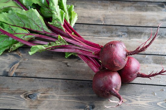 canva beets MADI10nB1IU