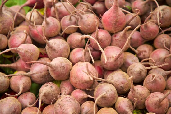 canva beets MAEE2FJTFRQ