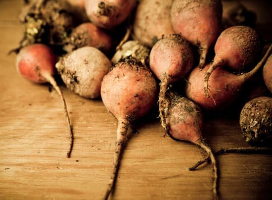 canva beets MAEE9lw7t2c