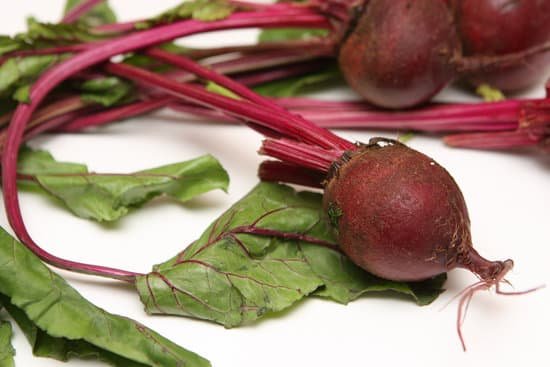 canva beets MAEFgkqoLVE