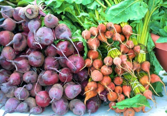 canva beets and radish MAC9HkkpyTs