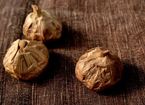 canva black garlic MAEEfLizjEo