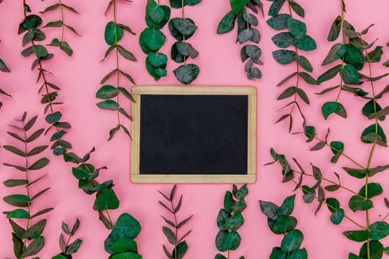 canva blackboard on table around eucalyptus MAEPy9bqUDg