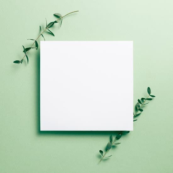 canva blank paper with eucalyptus leaves on green background MAEI9UjVH8w