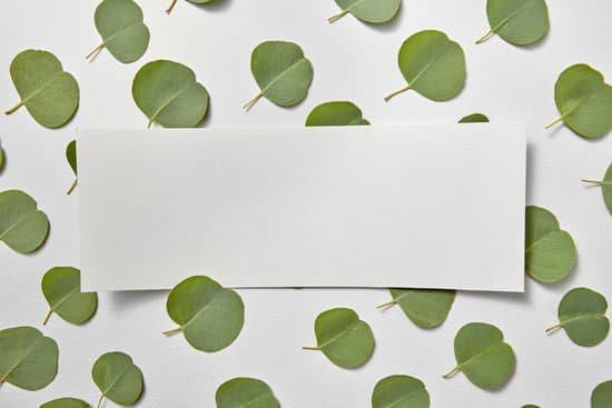 canva blank white paper strip on a pattern of eucalyptus leaves MAD7eDbOceg