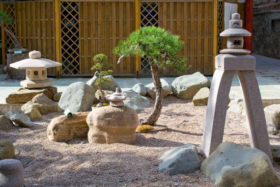 canva bonsai. MADFZJz pm8