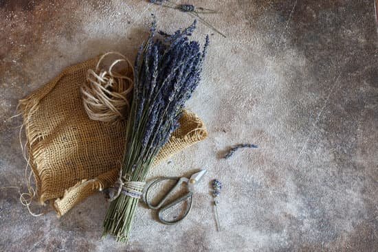 canva bouquet of dry lavender on a wooden table MAEGYSmT9Eo