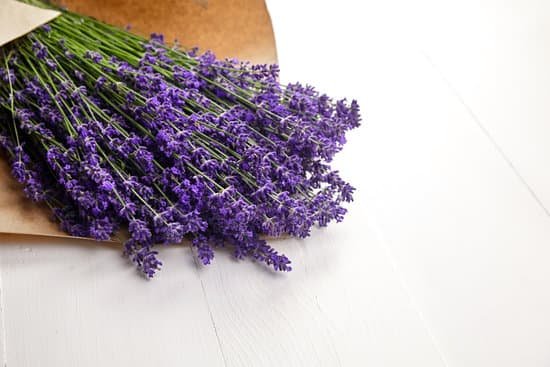 canva bouquet of lavender MAED95BcA8g