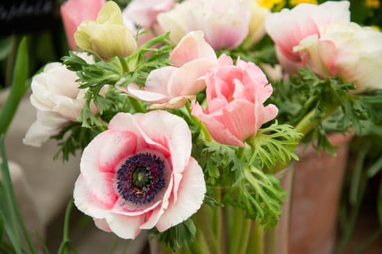 canva bouquet of pink anemone flowers MAEOVGzTJmk