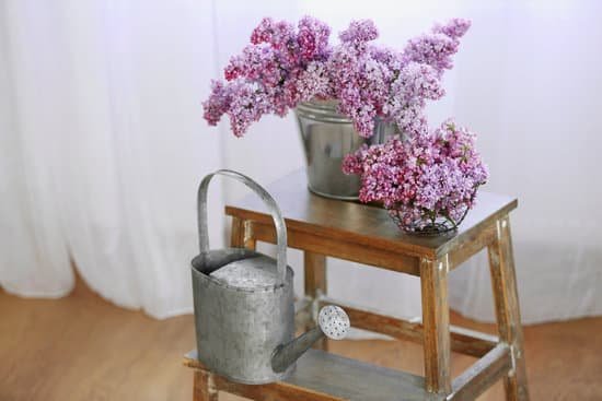 canva bouquets of lilac flowers on wooden ladder MAD QlV67rs