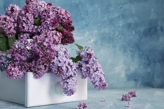 canva box with beautiful lilac flowers MAD7Fb3d5us