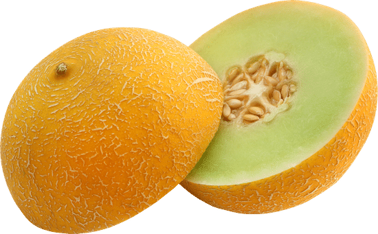 canva brilliant honeydew melon MADv1 n4a3c