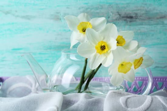 canva bunch of daffodil flowers in a glass vase MAD MXUNF5g