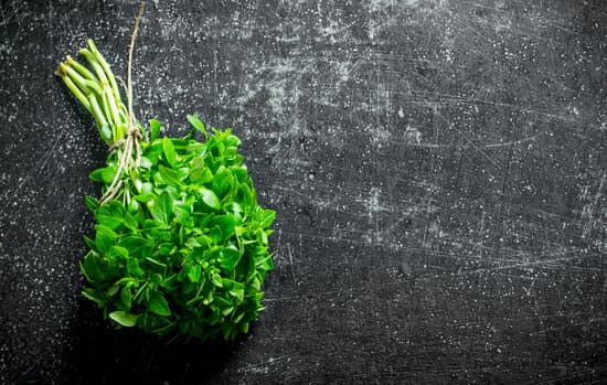 canva bunch of fresh basil MAEQMZNyJF8