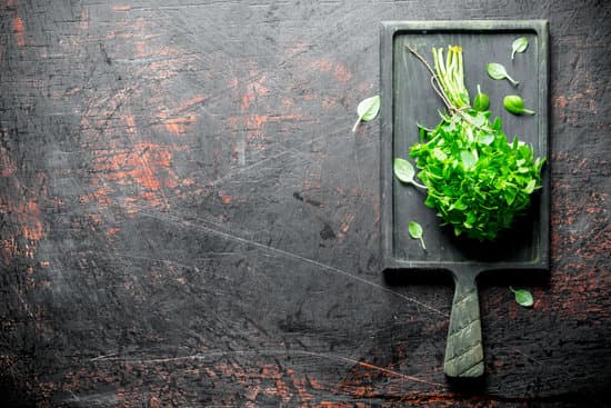 canva bunch of fresh basil MAEQN1QKBAg