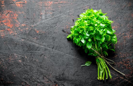 canva bunch of fresh fragrant basil MAEQKagWfGU
