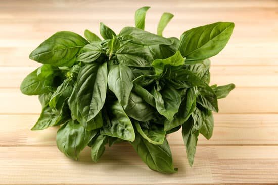 canva bunch of green basil on wooden background MAD QwkNMWg