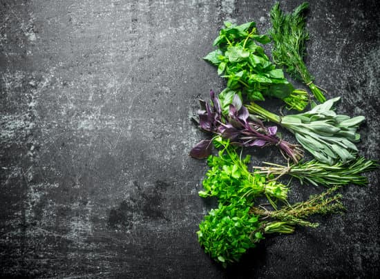 canva bunch of herbs MAEPjyRM cg