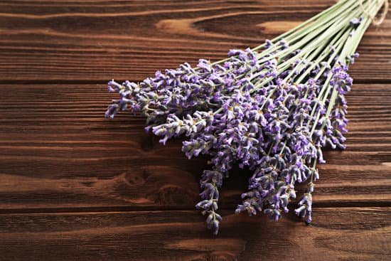 canva bunch of lavender flowers on wooden table MAD Qy0kc2M