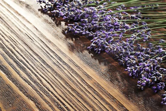 canva bunch of lavender on wooden table MAD Q2nSlvE