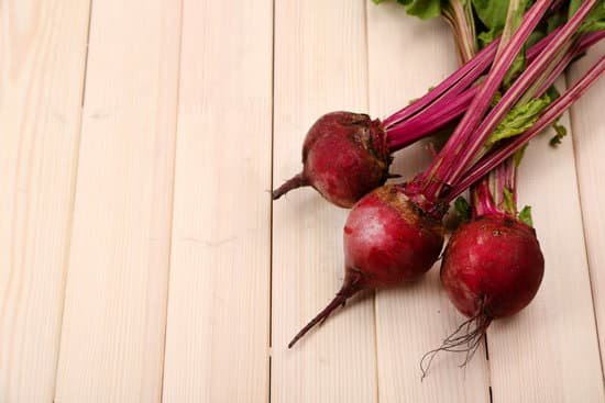 canva bunch of young beets copy space MAD MVvvETI