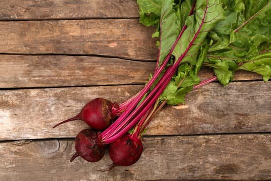 canva bunch of young beets flat lay MAD MdHqlHs
