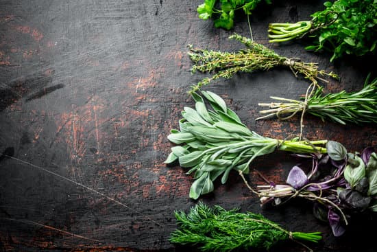 canva bunches of fresh herbs flatlay MAEQNYlcssw