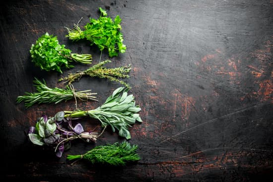 canva bunches of fresh herbs for the salad flatlay MAEQMLpJuuQ