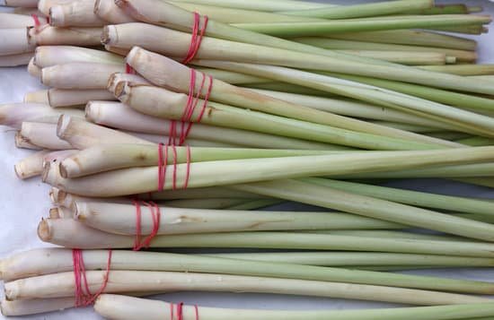 canva bunches of fresh lemongrass MAC jCcnuS8