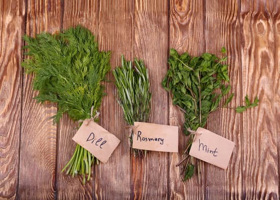 canva bundle of herbs on a wooden table MAEPjdGe 6w