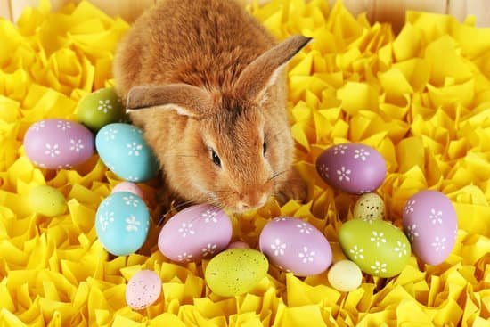 canva bunny rabbit with easter eggs on yellow paper background MAD MQslyqg