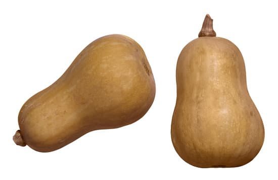 canva butternut squash MAC77cKNfN0