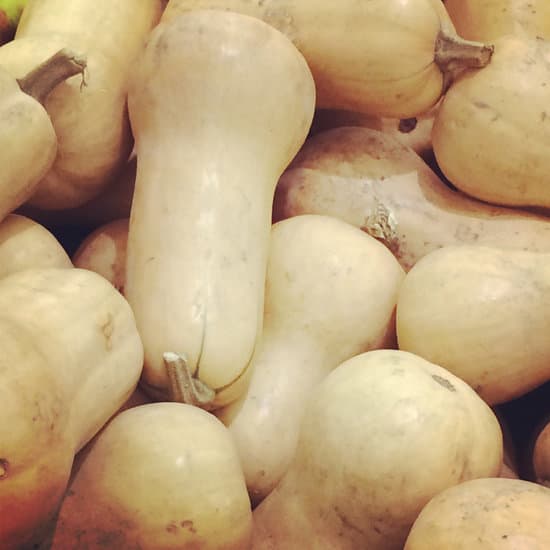 canva butternut squash MADB1CzDEGw