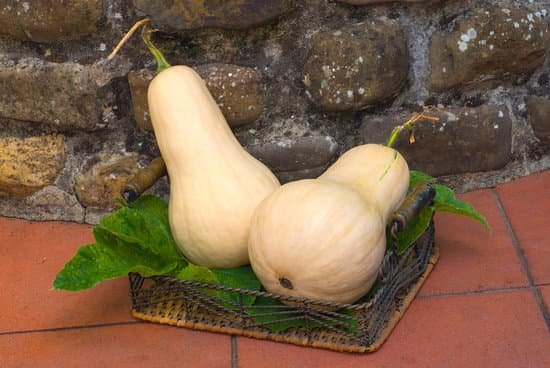 canva butternut squash MADBIm8uZw8