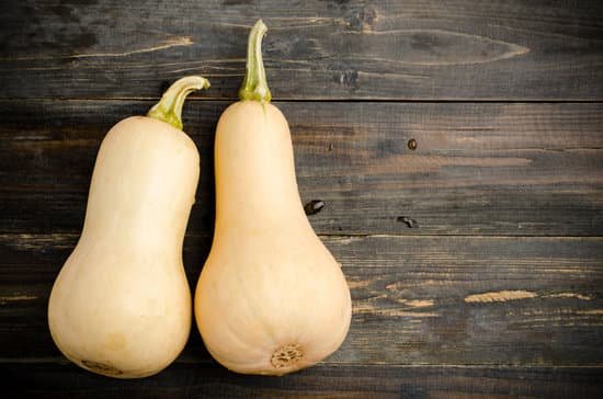 canva butternut squash