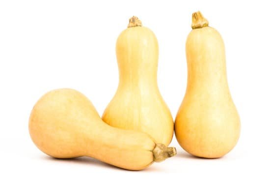 canva butternut squash MADBvSeUytc