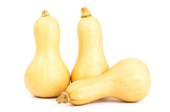 canva butternut squash MADBzY5Czd8